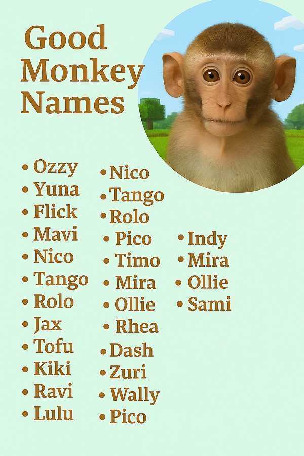 Good Monkey Names