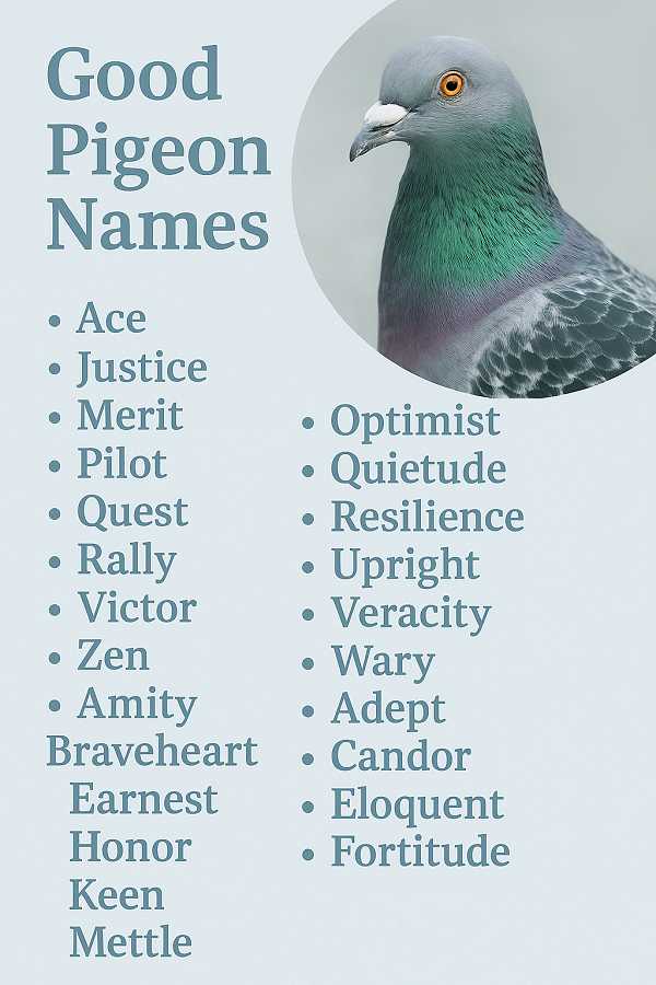 Good Pigeon Names
