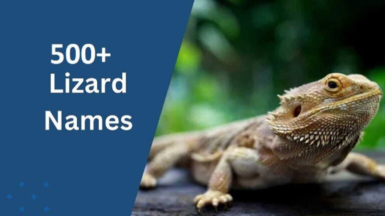 Lizard Names