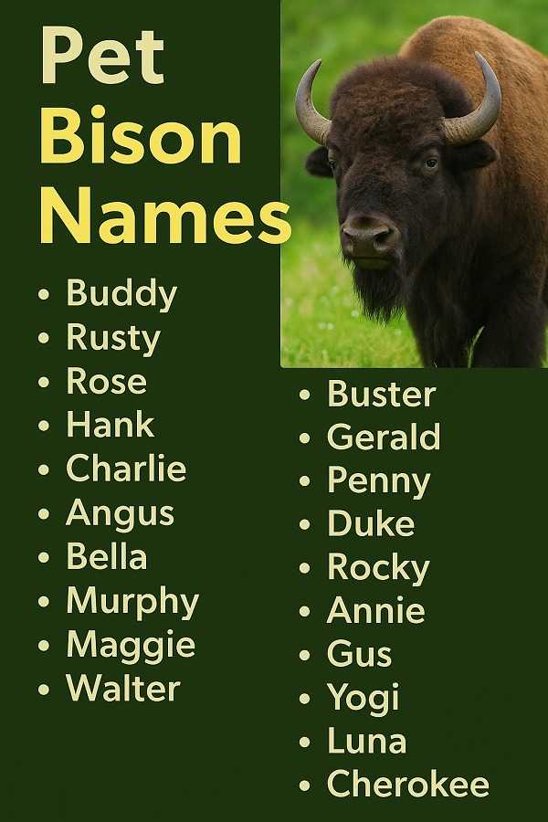 Pet Bison Names