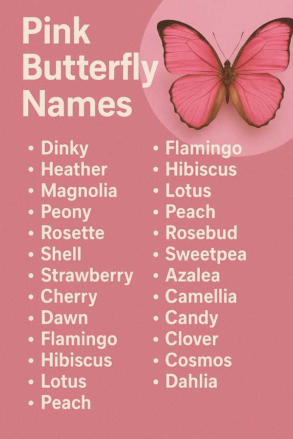 Pink Butterfly Names