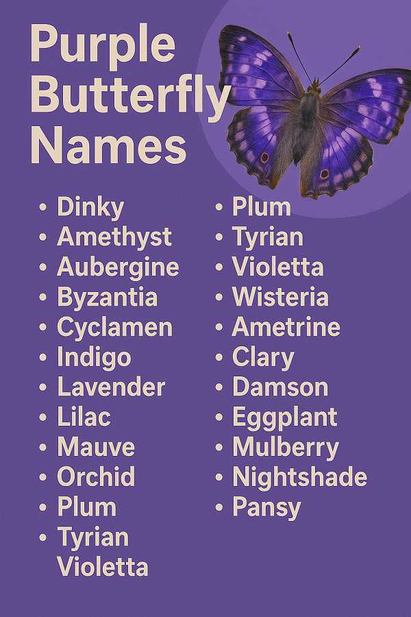 Purple Butterfly Names