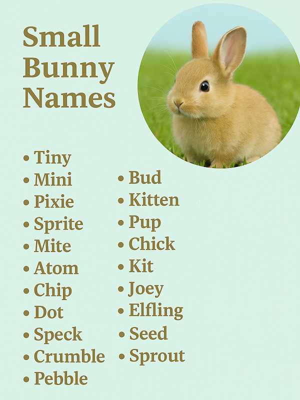 Small Bunny Names