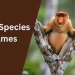 Species Names