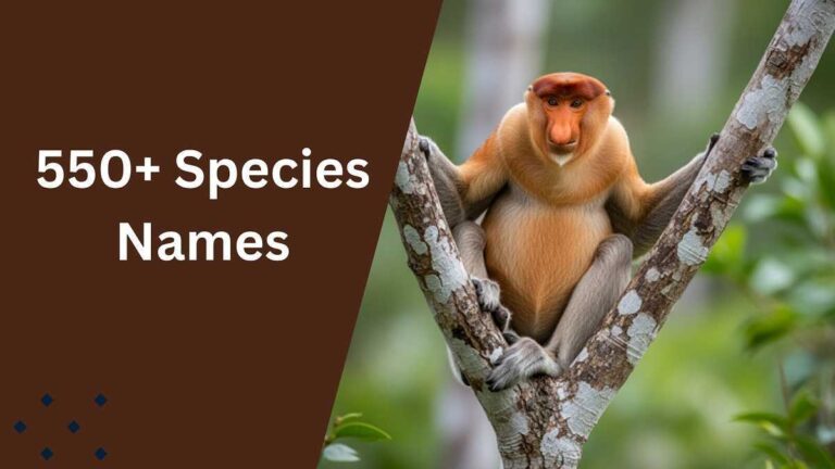 Species Names