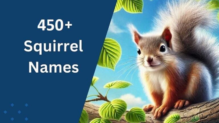 Squirrel Names