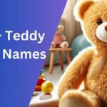 Teddy Bear Names