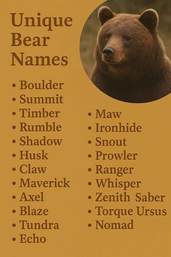 Unique Bear Names