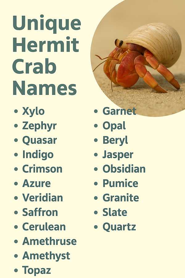 Unique Hermit Crab Names