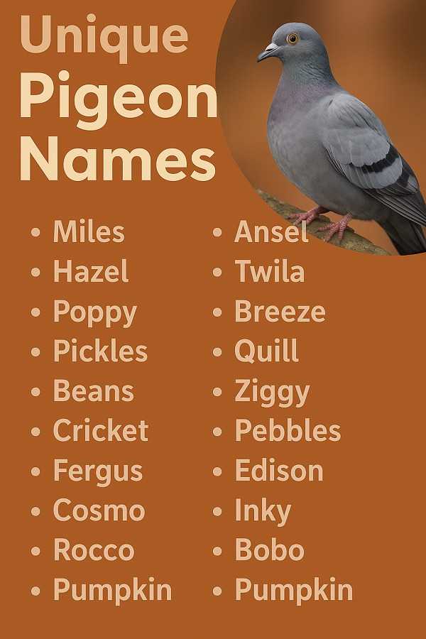 Unique Pigeon Names