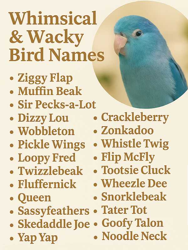 Whimsical & Wacky Bird Names