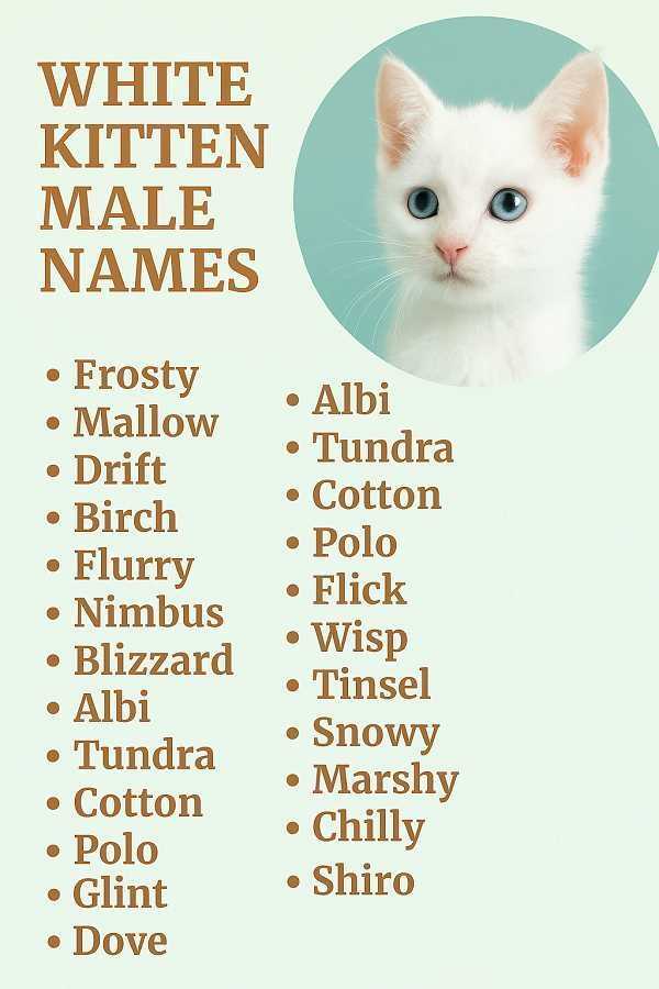 White Kitten Male Names