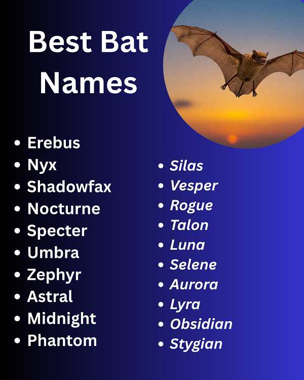 Best Bat Names