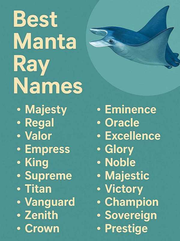 Best Manta Ray Names