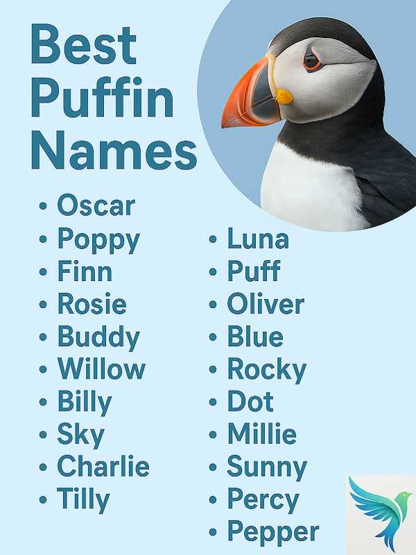 Best Puffin Names