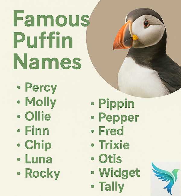 Famous Puffin Names