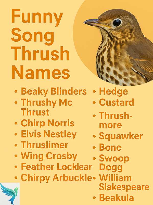 Funny Song Thrush Names