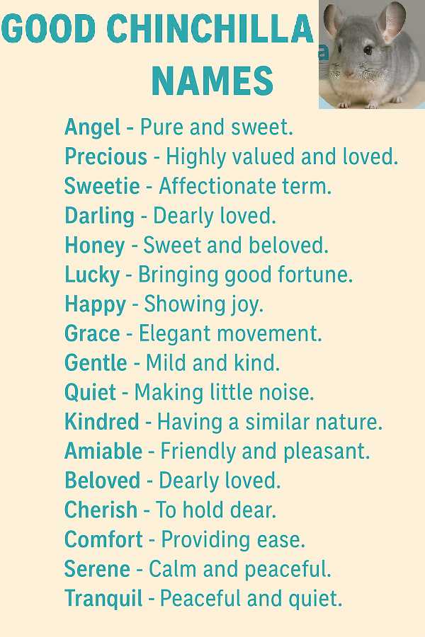 Good Chinchilla Names