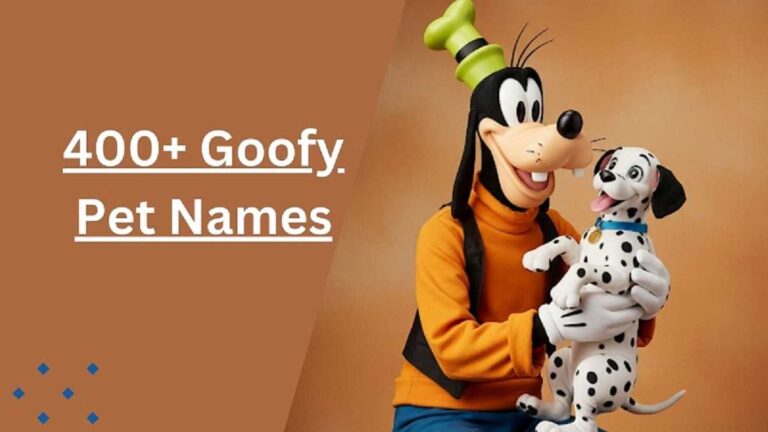 Goofy Pet Names
