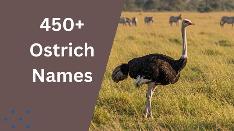 Ostrich Names