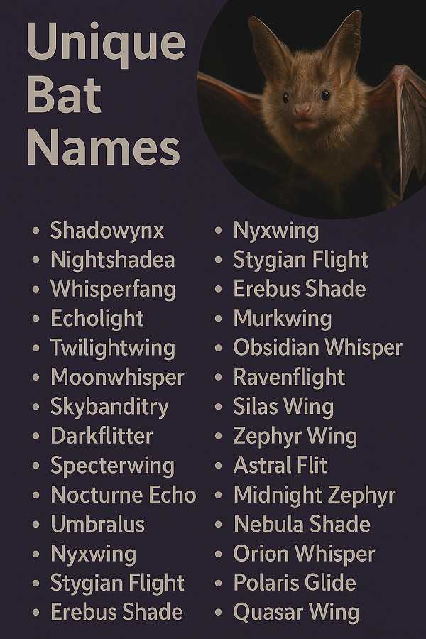 Unique Bat Names