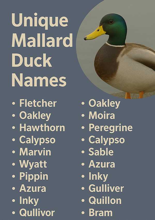 Unique Mallard Duck Names
