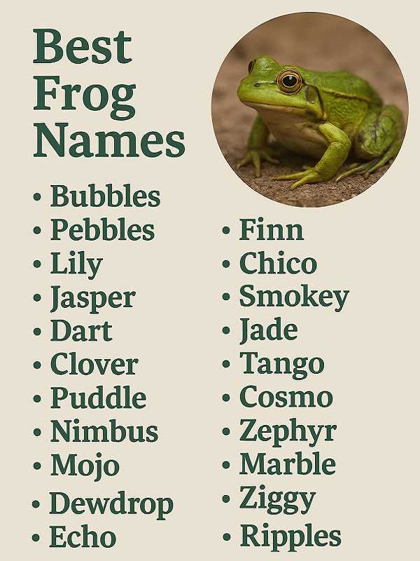 Best Frog Names