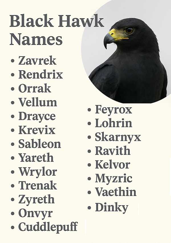Black Hawk Names