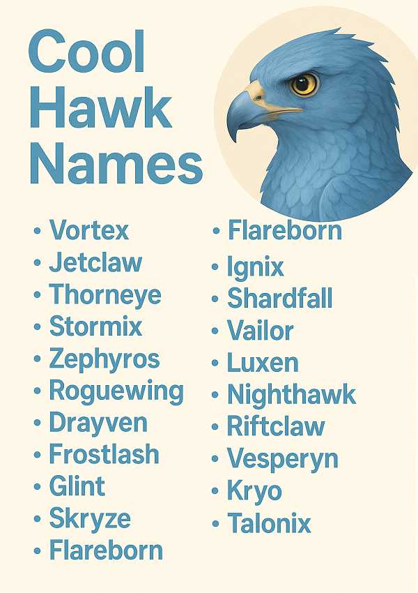 Cool Hawk Names