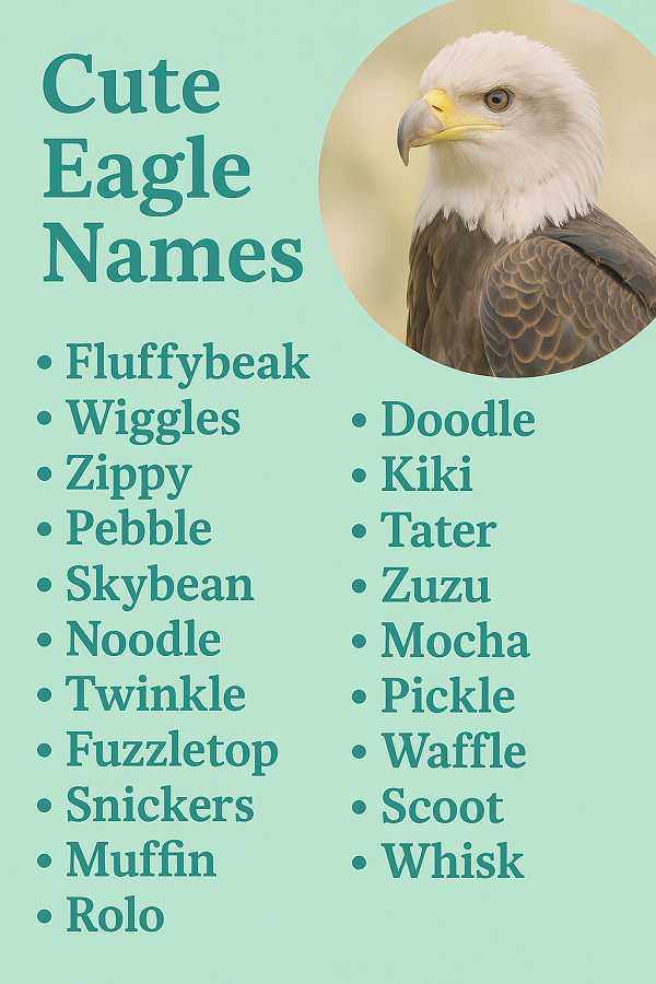 Cute Eagle Names