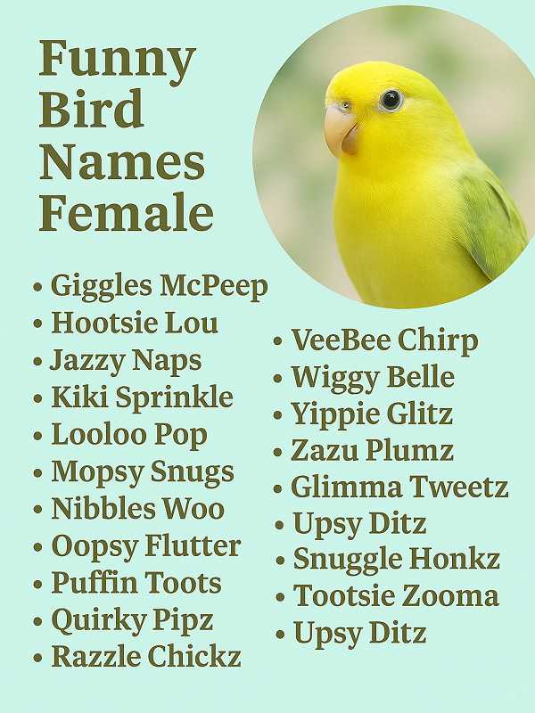 Funny Bird Names Female