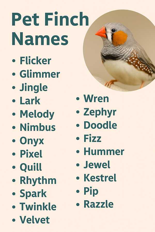 Pet Finch Names