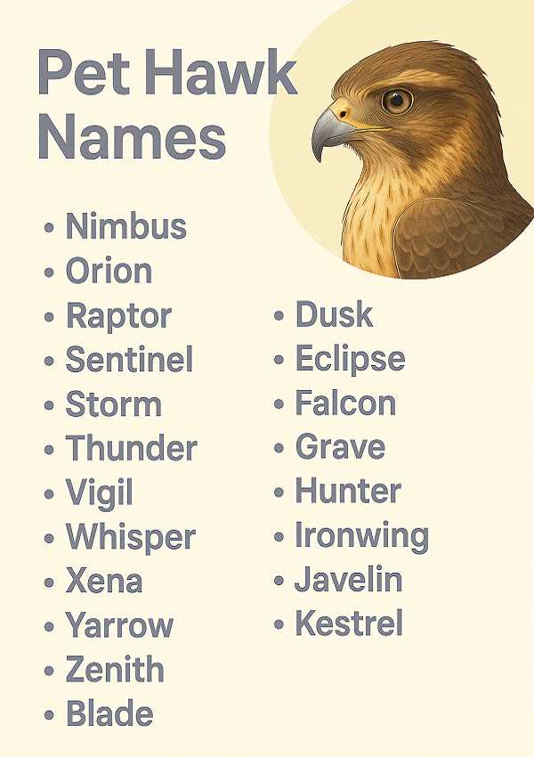 Pet Hawk Names