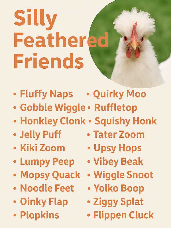 Silly Feathered Friends