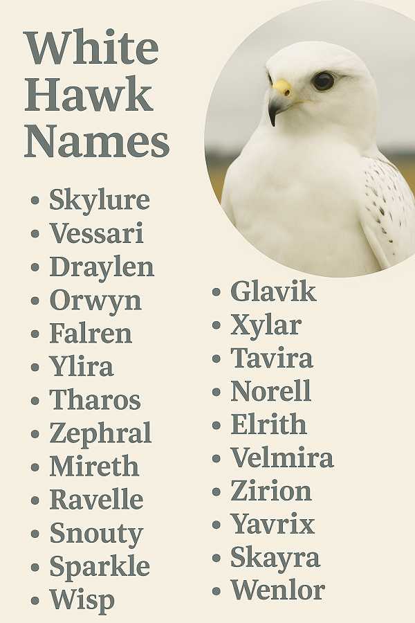 White Hawk Names